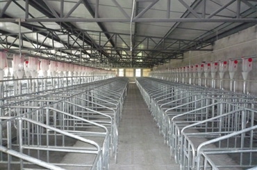 自動化養(yǎng)殖